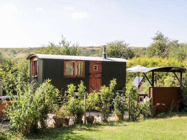 A small dark green corrugated metal cabin with wooden door and windows surrounded by plants and garden at Keets at Middle Acre in Ringstead near Weymouth