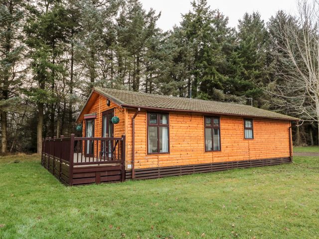 A wooden cabin with a tiled roof and a dark brown deck surrounded by grass and trees at The Treeline Swarland near Felton