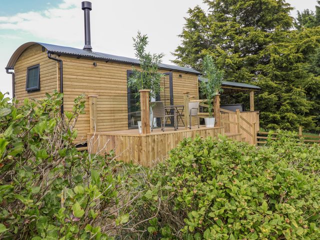 A wooden cabin with a deck and outdoor chairs surrounded by bushes and trees at High Rigg Shepherd's Sunrise in Brampton Cumbria