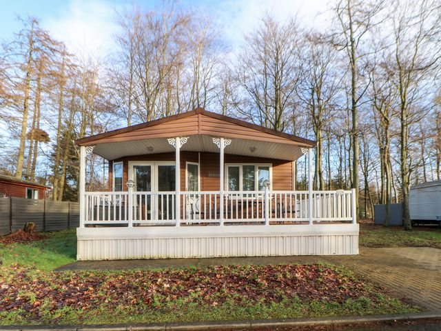 A wooden lodge with a covered porch and white railing surrounded by trees at Manderine Lodge in Swarland near Felton