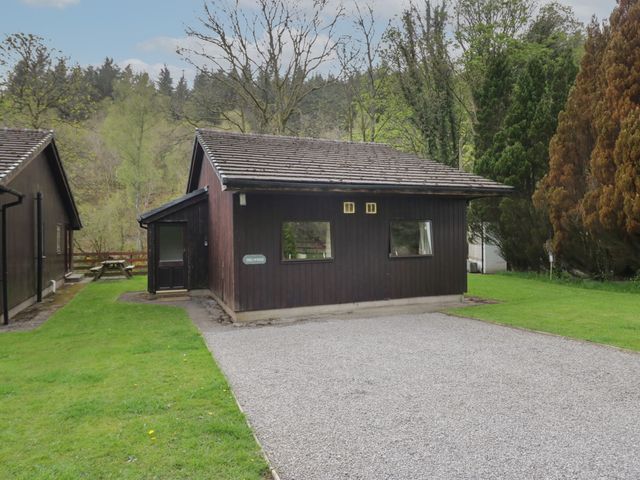A wooden cabin with a gravel driveway and grass lawn surrounded by trees at Dogwood Timber Lodge in Keswick