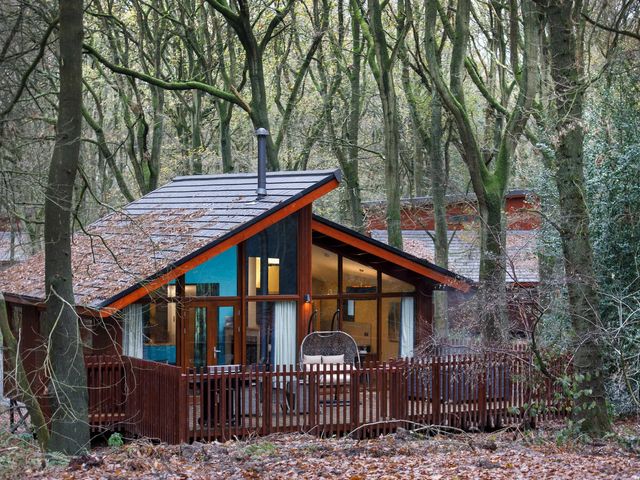 A wooden cabin with large windows and a fenced porch in a forest setting at Glentress Forest Golden Oak Hideaway Glentress Forest Peebles