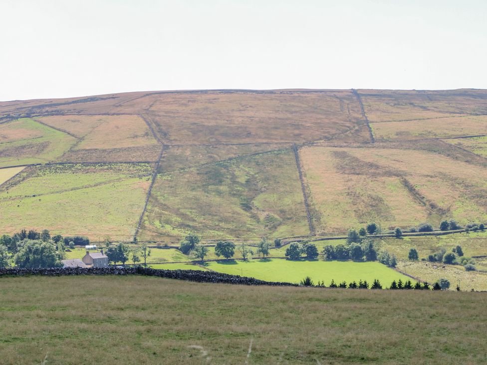 A rural hillside with fields divided by stone walls and a house at the bottom at Field Barn in Alston