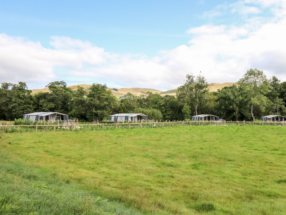 A grassy field with four tents and trees in the background at The Otter in Nantmel near Rhayader
