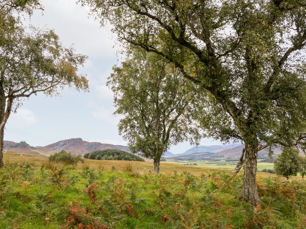 Trees in a grassy field with hills and a partly cloudy sky at Coraldie in Laggan near Newtonmore