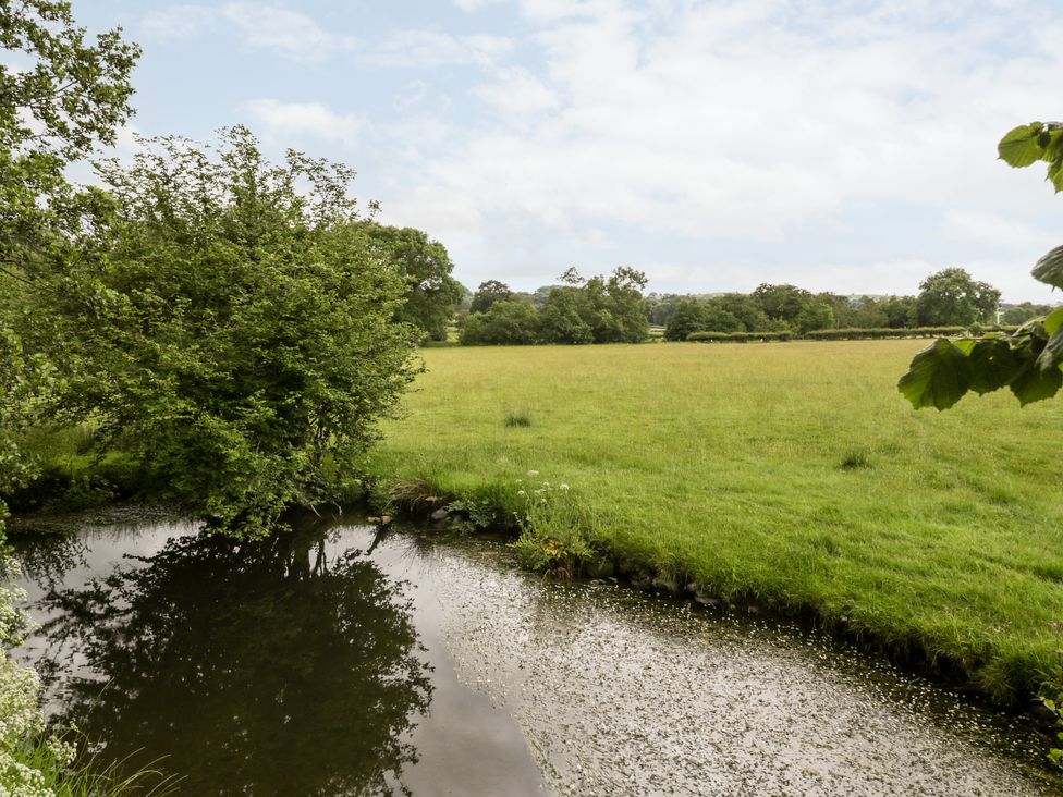 A field with grass and trees next to a small pond at Halls Mill in Huntington Herefordshire