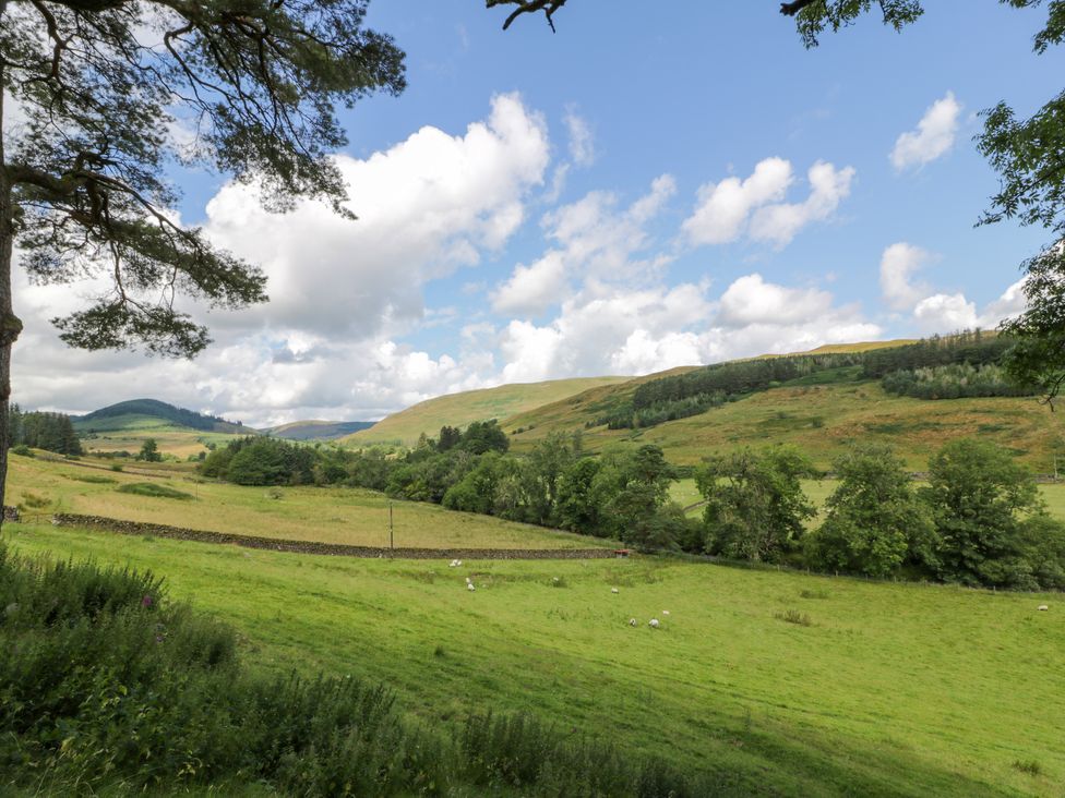 A rural landscape with green fields sheep trees a stone wall and hills under a partly cloudy sky at Kilnmark Farmhouse in Auchenbrack near Moniaive