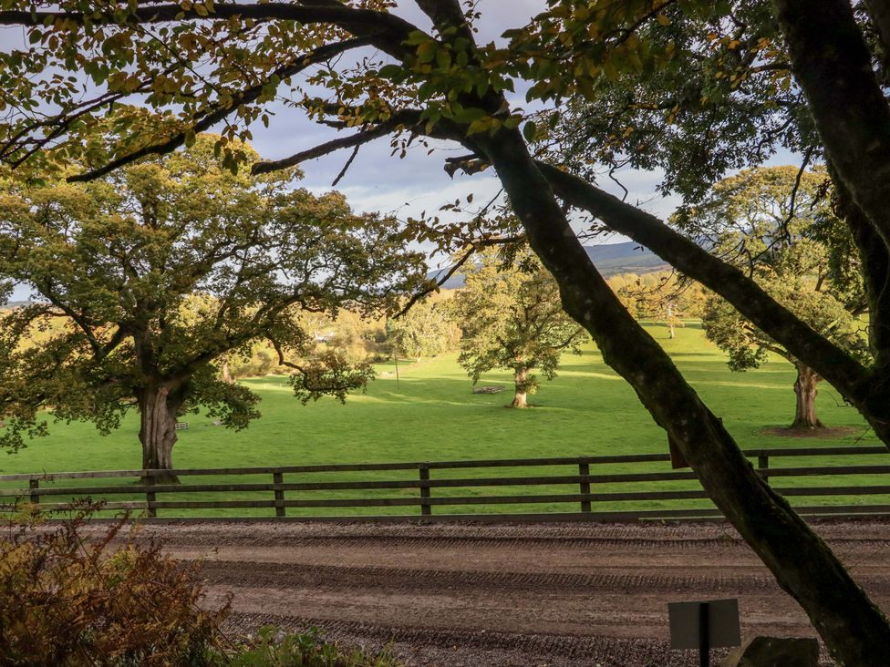 A grassy field with scattered trees behind a wooden fence and a dirt road at Ballybeg Pod 9 Ballybeg near Tinahely County Wicklow