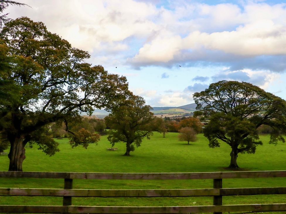 A green field with large trees and a wooden fence in the foreground under a partly cloudy sky at Ballybeg Pod 9 Ballybeg near Tinahely County Wicklow