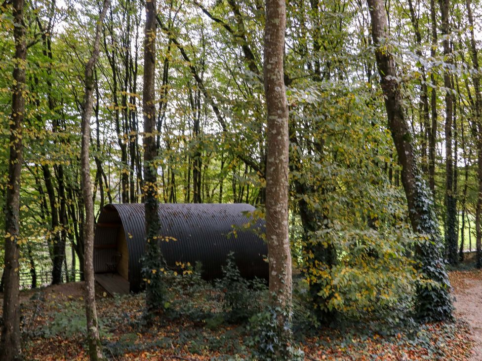 A cylindrical cabin in a forest surrounded by trees at Ballybeg Pod 8 in Ballybeg near Tinahely County Wicklow