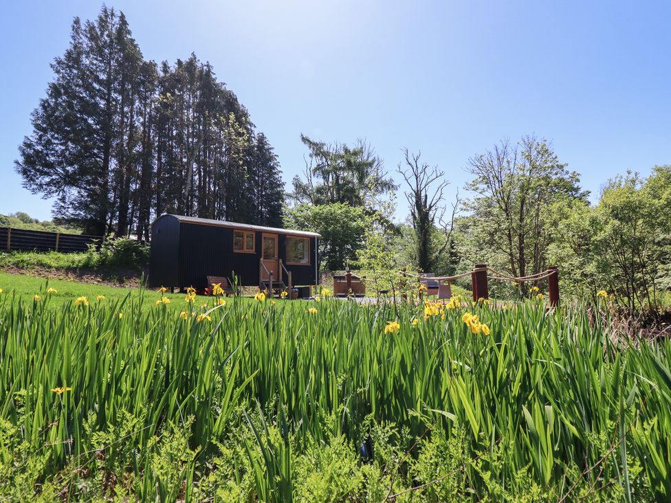 A small black cabin with wooden windows and door near tall trees and yellow flowers in a grassy area at Celyn in Bontddu near Dolgellau