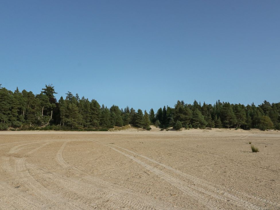 An open sandy area with tire tracks and a dense forest of pine trees under a clear blue sky at Feagour in Laggan