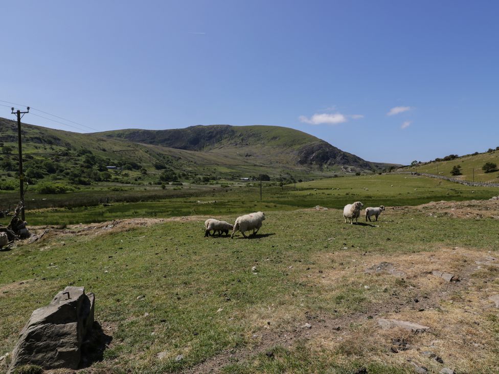 A green field with sheep grazing and hills in the background at Moelfre - Shepherds Hut in Llanbedr