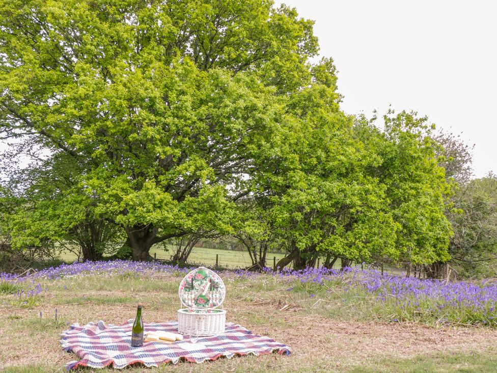 A picnic setup with a blanket wine bottle and basket near trees and flowers at Pheasant Lodge in Wimborne Minster